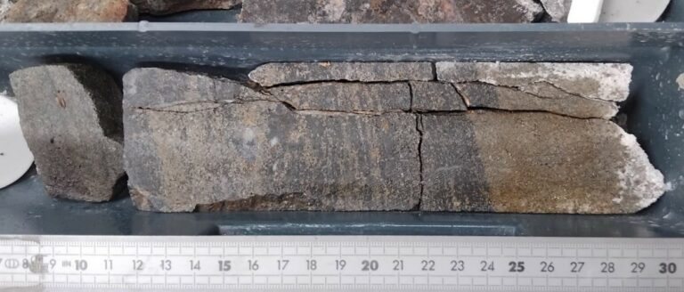Carotte de sondage historique du gisement de Chessy montrant le contact entre un horizon riche en pyrite (à droite) et un horizon riche en chalcopyrite et sphalérite (à gauche).