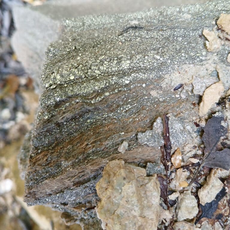 Détail de l’amas sulfuré de Saint Pierre-la-Palud. Alternance de pyrite et de quartz suite à l’altération hydrothermale.