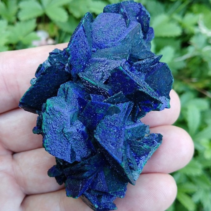 Azurite, collection Frédéric Gaudry