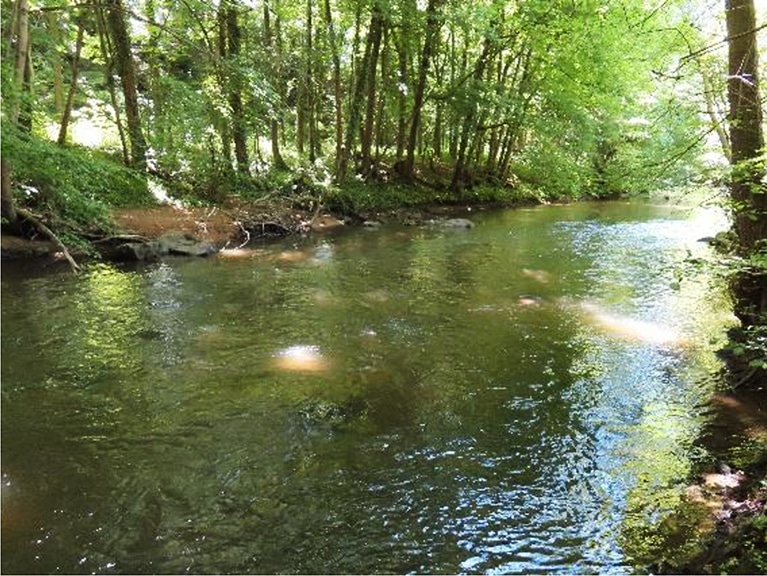 Chessy, rivière Azergues