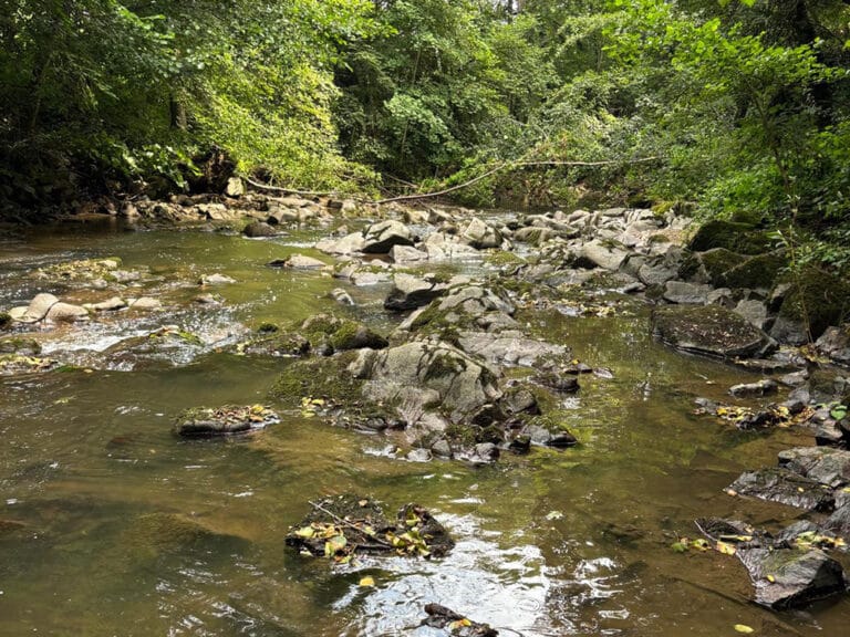 Paysage rivière l'Azergue